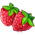 Framboesa