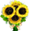 Buquê de Girassóis